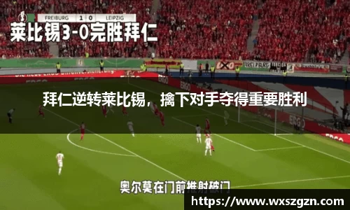 乐动LDSports官网