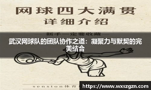 乐动LDSports官网