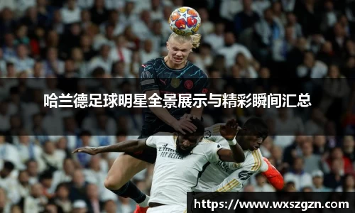 哈兰德足球明星全景展示与精彩瞬间汇总