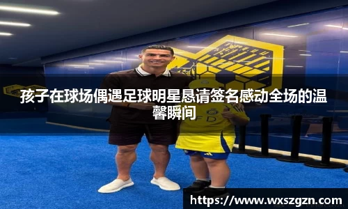 乐动LDSports体育