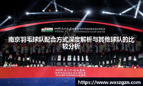 南京羽毛球队配合方式深度解析与其他球队的比较分析